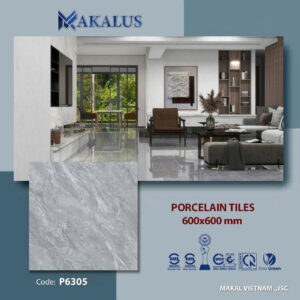 Gạch lát nền kích thước 60x60 và 80x80 mã P8305